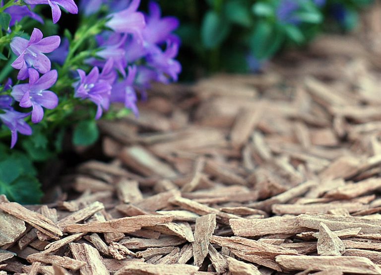 Holzhäcksel (Organisch)